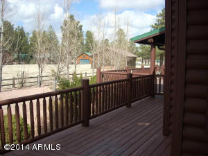 2311 Bison Ranch Trl, Overgaard, AZ 85933 photo 46
