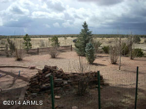 2311 Bison Ranch Trl, Overgaard, AZ 85933 photo 45