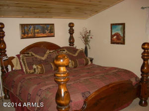 2311 Bison Ranch Trl, Overgaard, AZ 85933 photo 34
