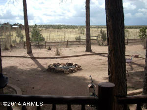 2311 Bison Ranch Trl, Overgaard, AZ 85933 photo 44