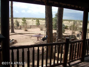 2311 Bison Ranch Trl, Overgaard, AZ 85933 photo 43