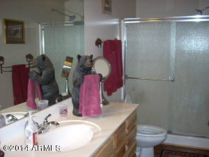 2311 Bison Ranch Trl, Overgaard, AZ 85933 photo 36