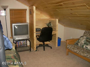 2311 Bison Ranch Trl, Overgaard, AZ 85933 photo 37
