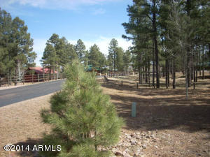 2311 Bison Ranch Trl, Overgaard, AZ 85933 photo 5