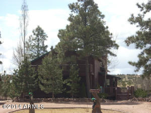 2311 Bison Ranch Trl, Overgaard, AZ 85933 photo 3