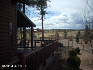 2311 Bison Ranch Trl, Overgaard, AZ 85933 photo 15