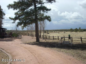 2311 Bison Ranch Trl, Overgaard, AZ 85933 photo 8
