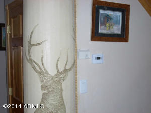 2311 Bison Ranch Trl, Overgaard, AZ 85933 photo 24