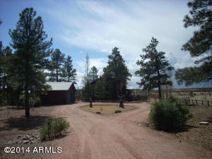 2311 Bison Ranch Trl, Overgaard, AZ 85933 photo 2