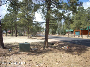 2311 Bison Ranch Trl, Overgaard, AZ 85933 photo 4