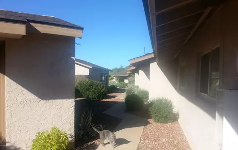 2980 W Foothill Dr, Phoenix, AZ 85027 photo 4