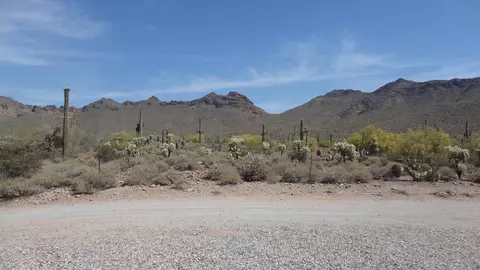 5551 N Meridian Rd, Apache Junction, AZ 85120 photo 3