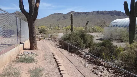 5551 N Meridian Rd, Apache Junction, AZ 85120 photo 77