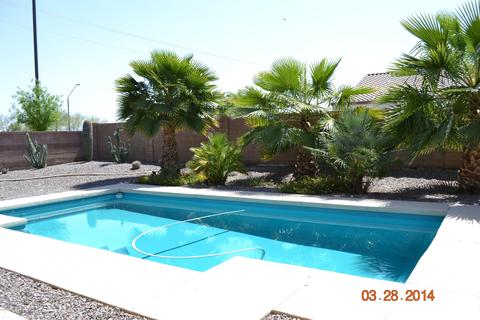 3165 E Lynx Way, Gilbert, AZ 85298 photo 4
