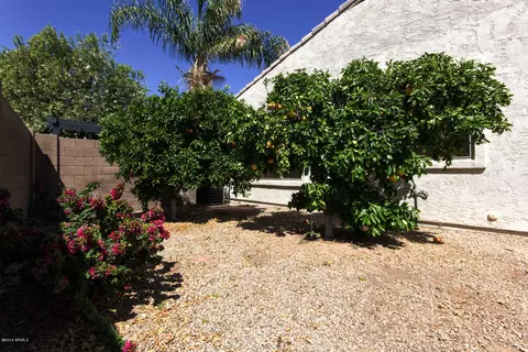 9247 E Lindner Ave, Mesa, AZ 85209 photo 37