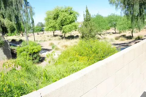 1328 S Bridgegate Dr, Gilbert, AZ 85296 photo 57