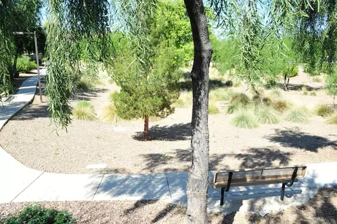 1328 S Bridgegate Dr, Gilbert, AZ 85296 photo 59