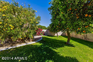 3950 E Mclellan Rd #9, Mesa, AZ 85205 photo 53