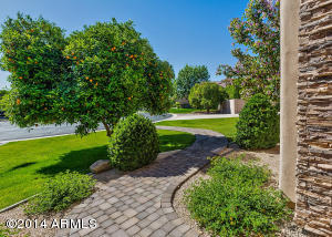 3950 E Mclellan Rd #9, Mesa, AZ 85205 photo 4