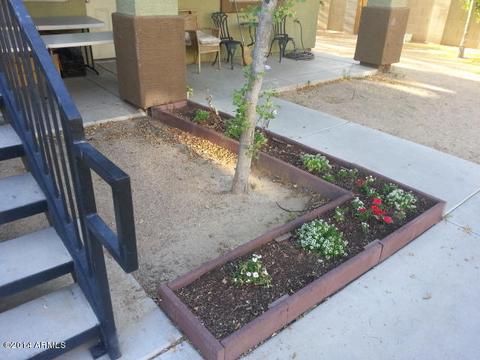 1614 W Purdue Ave, Phoenix, AZ 85021 photo 6