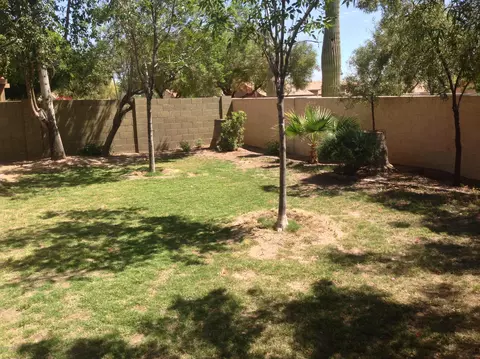 4179 E Cholla Canyon Dr, Phoenix, AZ 85044 photo 15