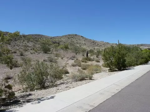 3214 E Desert Flower Ln, Phoenix, AZ 85044 photo 40