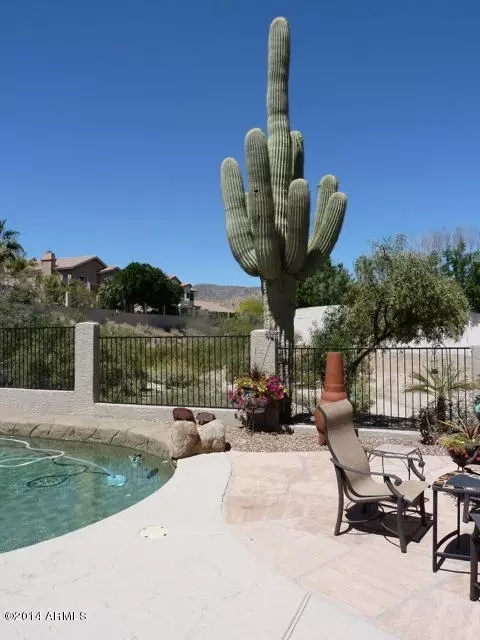 3214 E Desert Flower Ln, Phoenix, AZ 85044 photo 7