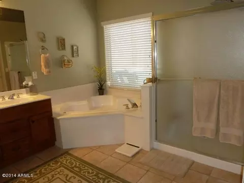 3214 E Desert Flower Ln, Phoenix, AZ 85044 photo 16