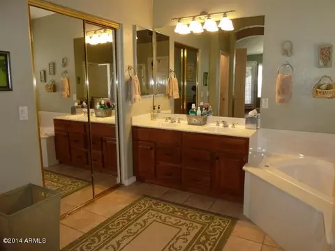 3214 E Desert Flower Ln, Phoenix, AZ 85044 photo 15