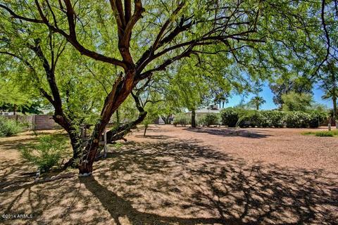 6926 E Flossmoor Ave, Mesa, AZ 85208 photo 28