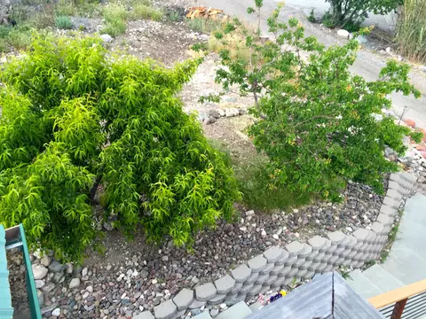 141 N North Dr, Jerome, AZ 86331 photo 36