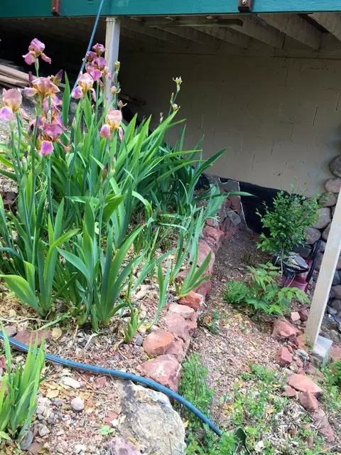 141 N North Dr, Jerome, AZ 86331 photo 13