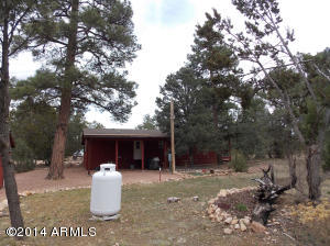 2848 Deer Trl, Overgaard, AZ 85933 photo 9