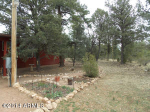 2848 Deer Trl, Overgaard, AZ 85933 photo 10