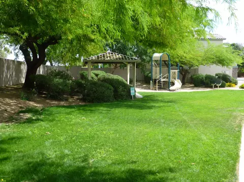 1455 E Julep St, Mesa, AZ 85203 photo 22