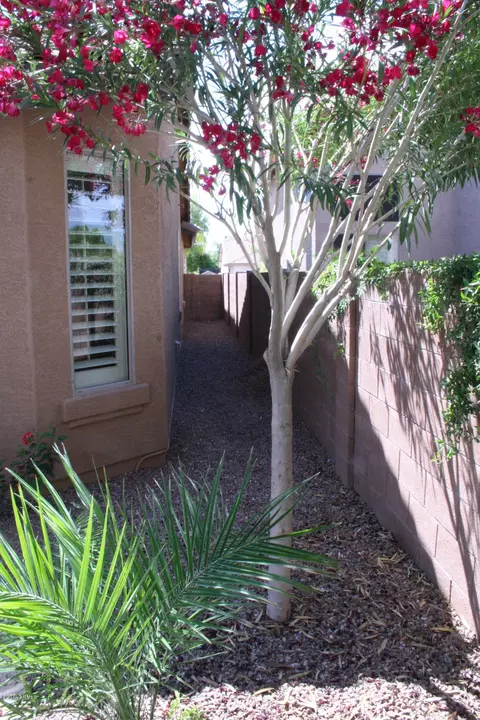 6975 S Magic Ct, Gilbert, AZ 85298 photo 49