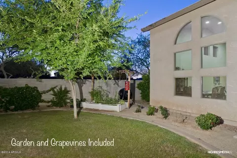 3717 E Harrison St, Gilbert, AZ 85295 photo 20