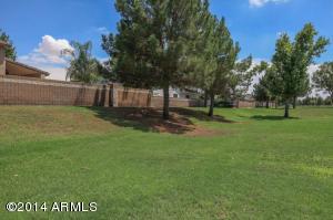 3414 E Washington Ave, Gilbert, AZ 85234 photo 35