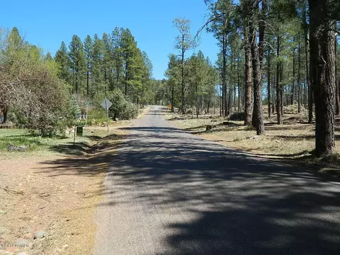 5872 Bradshaw Dr, Pine, AZ 85544 photo 14