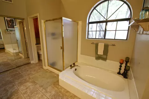 741 E Comstock St, Gilbert, AZ 85296 photo 19