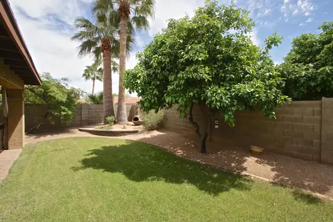 741 E Comstock St, Gilbert, AZ 85296 photo 26