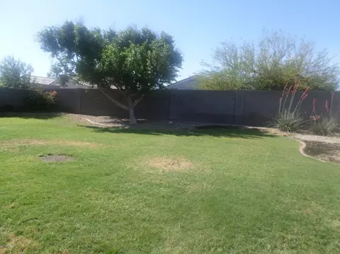 1497 W Diamond Ave, Apache Junction, AZ 85120 photo 50