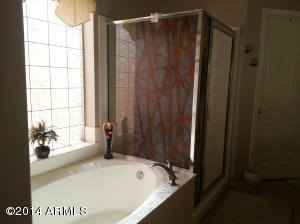 11535 E Adobe Rd, Mesa, AZ 85207 photo 11