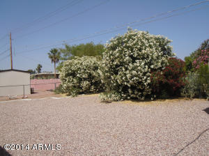 1335 S Grand Dr, Apache Junction, AZ 85120 photo 18