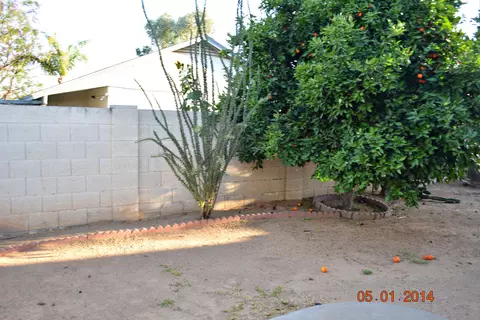 3121 E Kerry Ln, Phoenix, AZ 85050 photo 19
