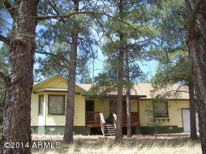 3322 Panorama --, Overgaard, AZ 85933 photo 30
