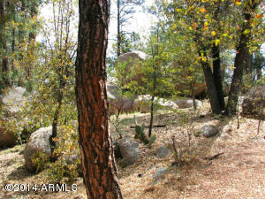 2600 E Pine Island Ln, Payson, AZ 85541 photo 25