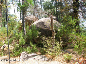 2600 E Pine Island Ln, Payson, AZ 85541 photo 2