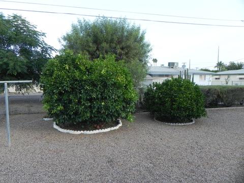 5322 E Butte St, Mesa, AZ 85205 photo 7