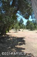 3060 Pinewood Dr, Overgaard, AZ 85933 photo 23
